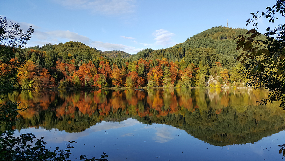 Lago Bergsee en Bad Säckingen